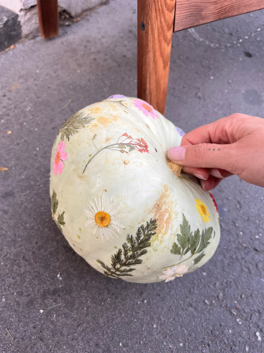 Dried Flower Pumpkin