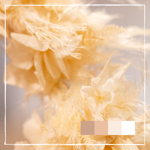 DIY Kit - Haarkranz/ Flowercrown aus Trockenblumen