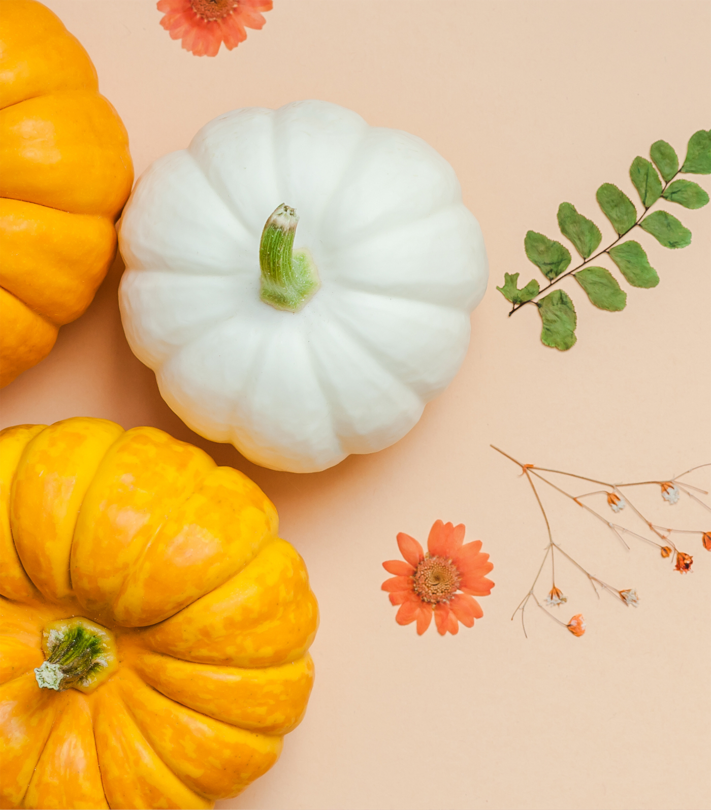 Paint your Pumpkin