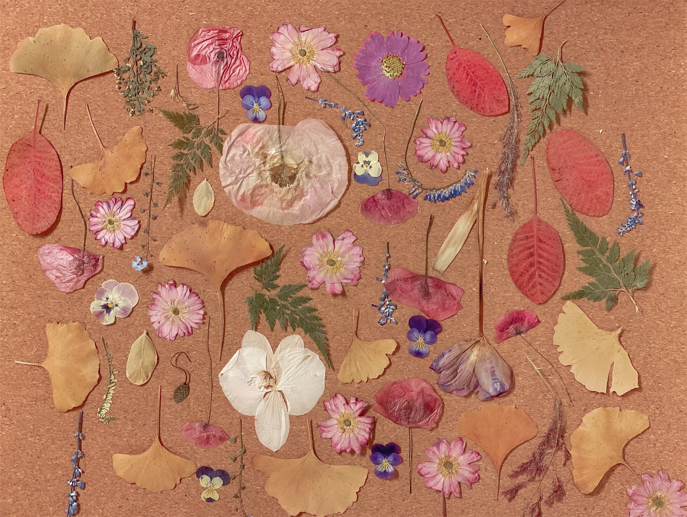 Dried Flower Pumpkin