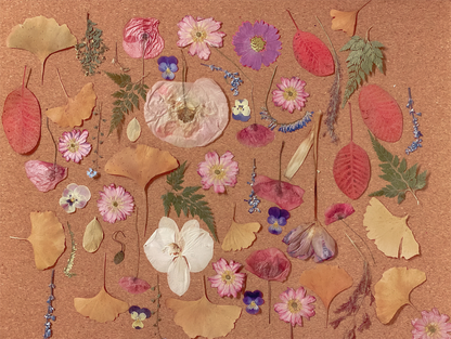 Dried Flower Pumpkin