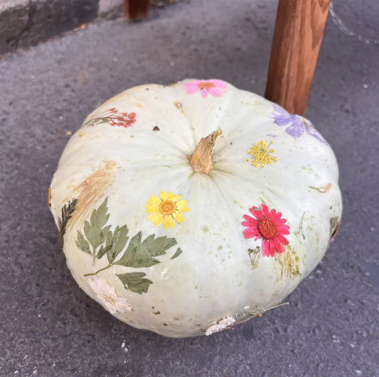 Dried Flower Pumpkin